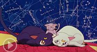 Вступительные титры  