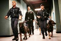 Кадр Уэнтуорт