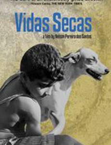 Погубленные жизни