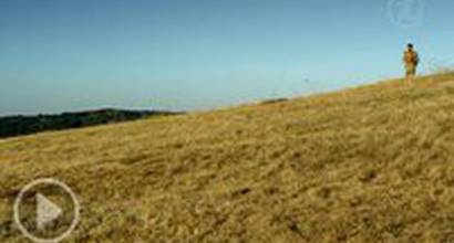 ТВ-ролик №5