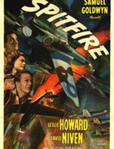 История истребителя Спитфайер