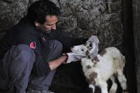 Кадр Четырежды