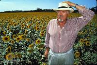 Кадр Винсент и Тео