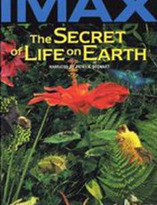 The Secret of Life on Earth