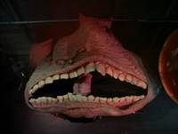 Кадр Существо в корзине 2