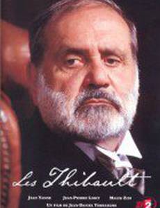 Семья Тибо (мини-сериал)