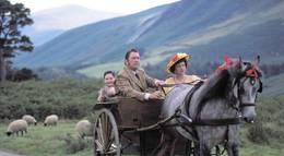 Кадр из фильма "Скотный двор" - 1