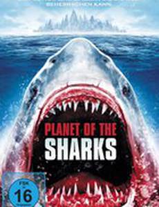 Планета акул