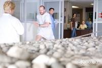 Кадр Адреналин