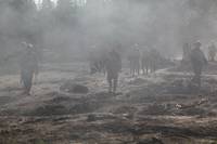 Кадр Белый тигр