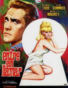 Don't Bother to Knock