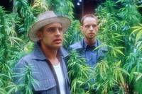 Кадр Лэммбок – всё ручной работы