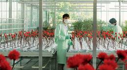 Кадр из фильма "Малыш Джо" - 1