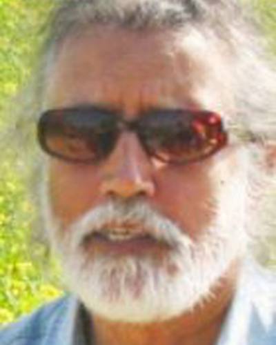 Вик Сарин фото