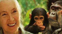 Кадр из фильма "Jane`s Journey" - 1