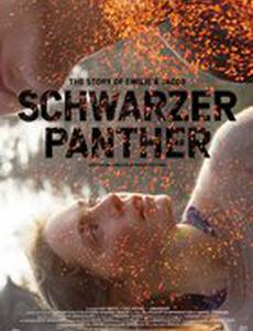 Schwarzer Panther