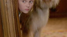 Кадр из фильма "Благодаря Винн Дикси" - 1