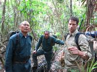 Кадр Джунгли