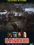 Постер из фильма "Сальвадор" - 1