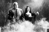 Кадр Эд Вуд