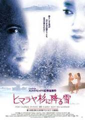 Заснеженные кедры