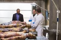 Кадр Ганнибал