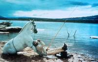 Кадр Счастливчик Люк