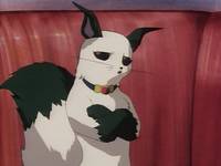 Кадр Принцесса-шаман (видео)