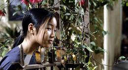 Кадр из фильма "Аромат зеленой папайи" - 2