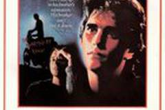 Бойцовая рыбка