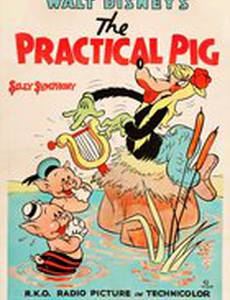 Практичная свинья