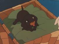 Кадр Катри, девочка с лугов