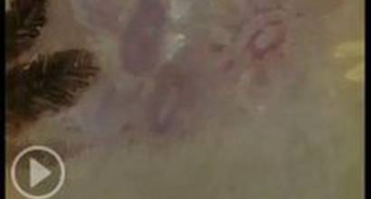 Мультфильм