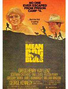 Блюз злой собаки