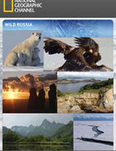 Дикая природа России (мини-сериал)