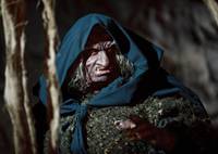 Кадр Мерлин