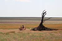 Кадр Испытание