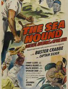 Морские псы