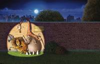 Кадр Мадагаскар