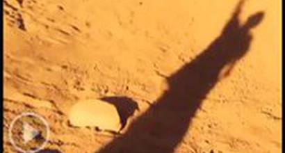 ТВ-ролик №4