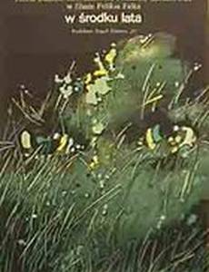 В разгаре лета