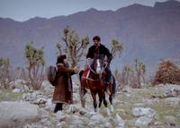 Кадр Мой милый Пепперленд