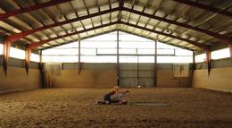 Кадр из фильма "Обезьянки" - 2