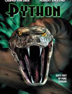 Питон