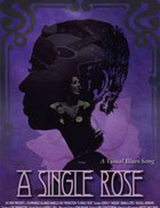 A Single Rose