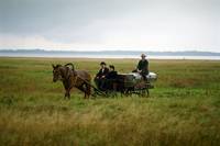 Кадр Дневники Оды