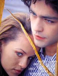 Идеальный вариант