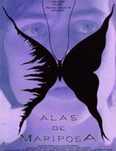 Крылья бабочки