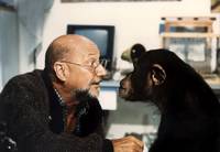 Кадр Феномен