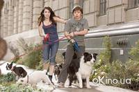 Кадр Отель для собак